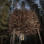 birdnest